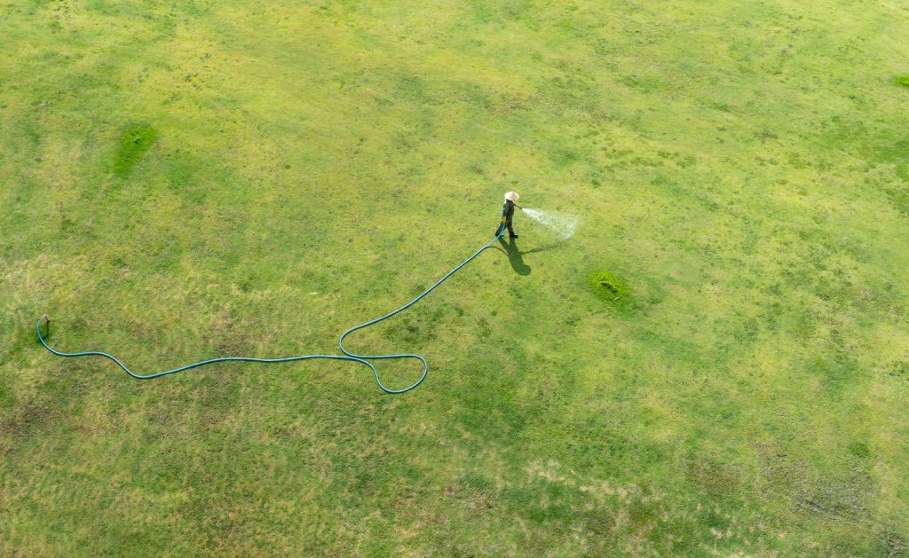 brisbane lawn care