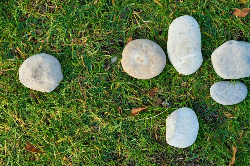 Ditch the Rocks for a Green Paradise!