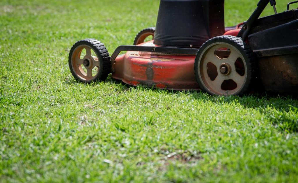 Is Your Mowing Game Letting Your Lawn Down?