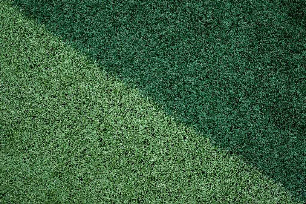 Real or Fake—Which Lawn’s Your Vibe?