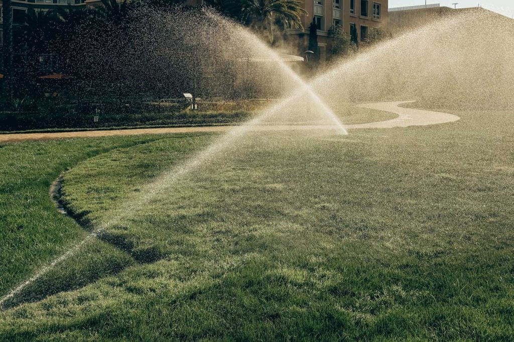 Stop Drowning Your Lawn and Save Water!