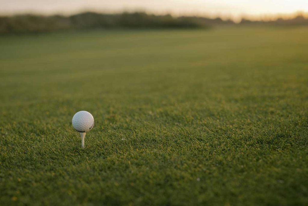 Want a Lawn That Looks Like a Golf Course?