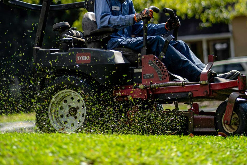 Your Lawn Could Be Your Stress-Buster!